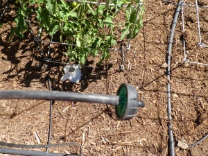 Drip Irrigation System for Vegetable Garden
