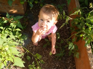 a baby in the garden, do toddlers love gardens, how do you get your kids to eat more veggies, what kind of vegetables should I grow that my kids will eat, 