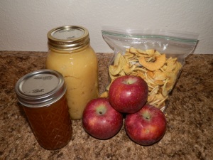 how to process apples, how to make apple jelly, how to make apple sauce, how to make dried apples,