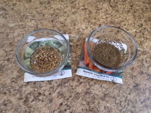 starting seeds, how to start seeds, growing from seed