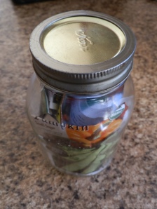 saving seeds, how to save seeds, saving seeds in a bottle, how to store seeds